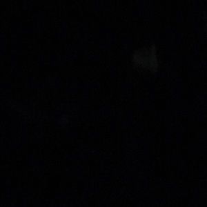 Meet your Posher, Cody